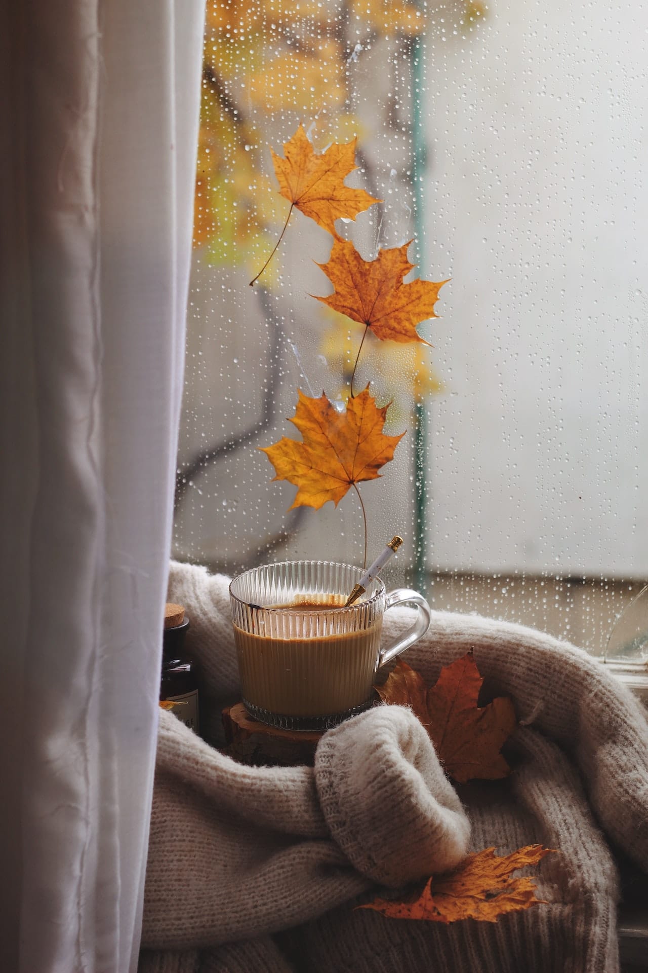 An autumn-styled window with golden maple leaves and a pumpkin latte in a glass mug.
